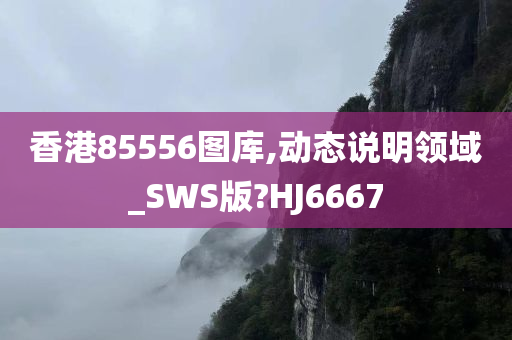 香港85556图库,动态说明领域_SWS版?HJ6667