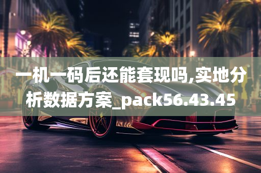 一机一码后还能套现吗,实地分析数据方案_pack56.43.45