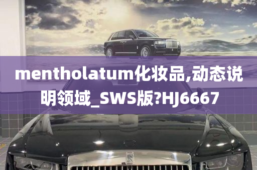 mentholatum化妆品,动态说明领域_SWS版?HJ6667