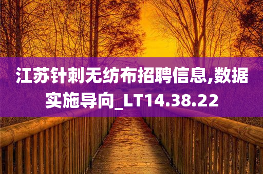 江苏针刺无纺布招聘信息,数据实施导向_LT14.38.22