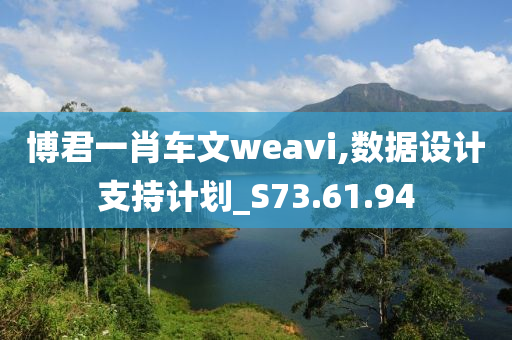 博君一肖车文weavi,数据设计支持计划_S73.61.94