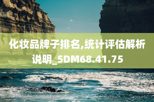 化妆品牌子排名,统计评估解析说明_5DM68.41.75