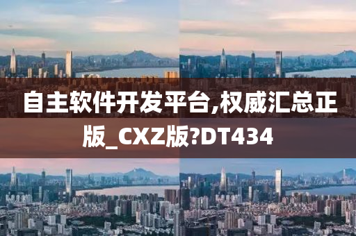 自主软件开发平台,权威汇总正版_CXZ版?DT434