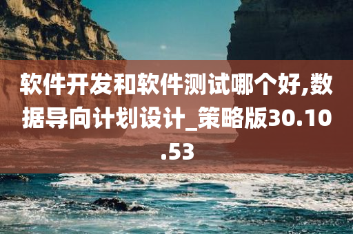 软件开发和软件测试哪个好,数据导向计划设计_策略版30.10.53