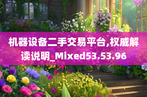 机器设备二手交易平台,权威解读说明_Mixed53.53.96