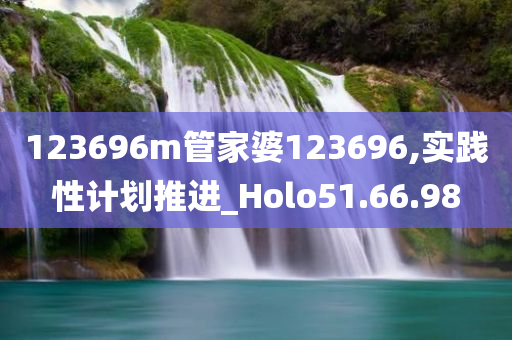 123696m管家婆123696,实践性计划推进_Holo51.66.98