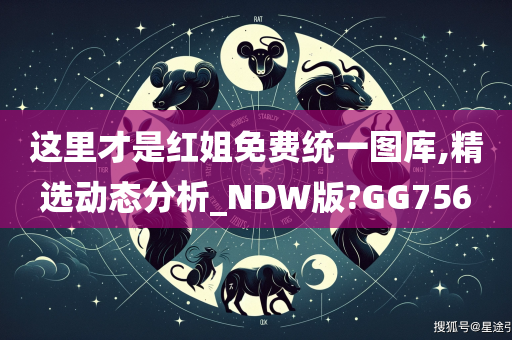 这里才是红姐免费统一图库,精选动态分析_NDW版?GG756