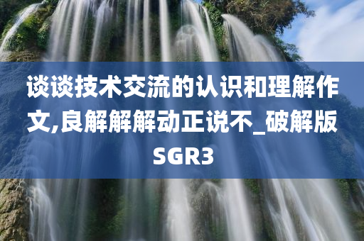 谈谈技术交流的认识和理解作文,良解解解动正说不_破解版SGR3