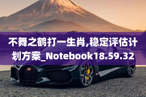 不舞之鹤打一生肖,稳定评估计划方案_Notebook18.59.32