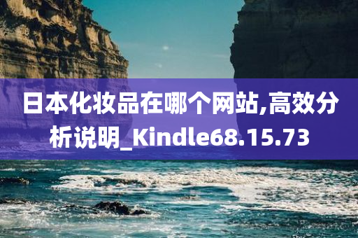 日本化妆品在哪个网站,高效分析说明_Kindle68.15.73