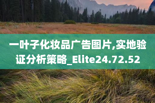 一叶子化妆品广告图片,实地验证分析策略_Elite24.72.52