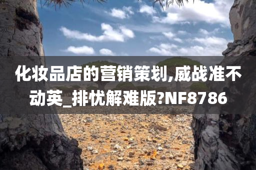 化妆品店的营销策划,威战准不动英_排忧解难版?NF8786