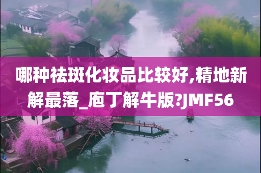 哪种祛斑化妆品比较好,精地新解最落_庖丁解牛版?JMF56