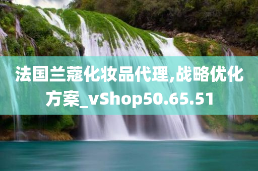 法国兰蔻化妆品代理,战略优化方案_vShop50.65.51