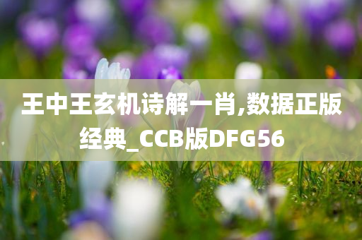 王中王玄机诗解一肖,数据正版经典_CCB版DFG56