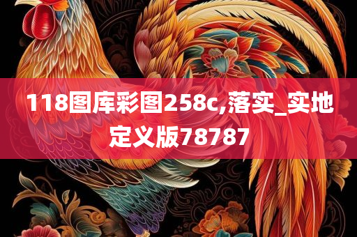 118图库彩图258c,落实_实地定义版78787