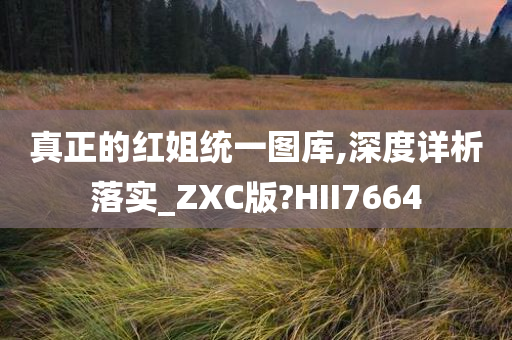 真正的红姐统一图库,深度详析落实_ZXC版?HII7664