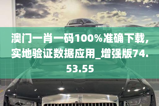 澳门一肖一码100%准确下载,实地验证数据应用_增强版74.53.55