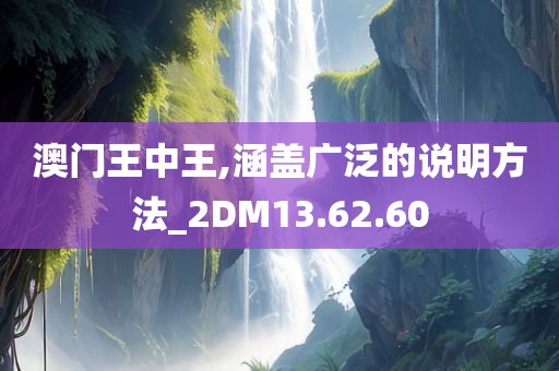 澳门王中王,涵盖广泛的说明方法_2DM13.62.60