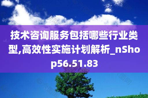 技术咨询服务包括哪些行业类型,高效性实施计划解析_nShop56.51.83