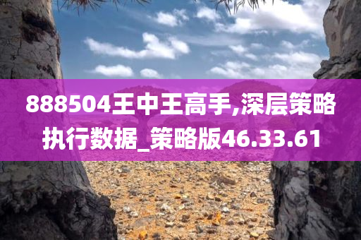 888504王中王高手,深层策略执行数据_策略版46.33.61