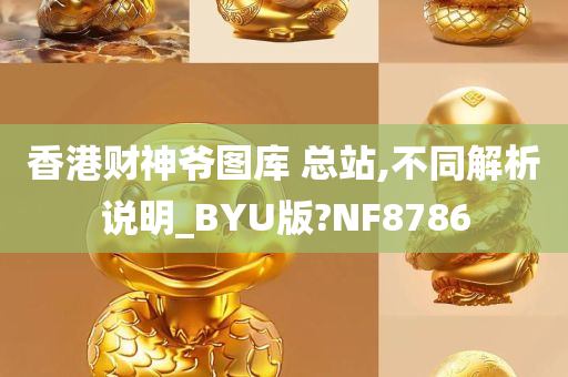 香港财神爷图库 总站,不同解析说明_BYU版?NF8786