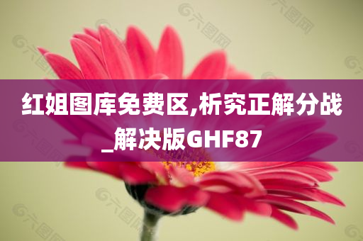 红姐图库免费区,析究正解分战_解决版GHF87