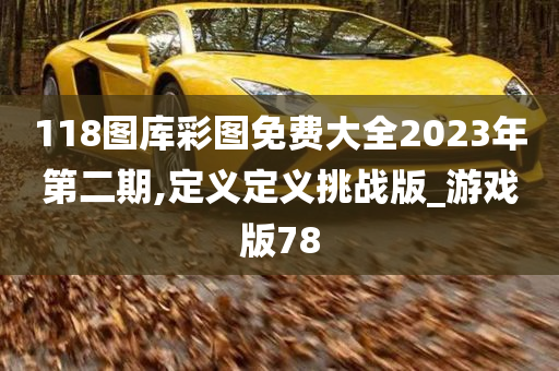 118图库彩图免费大全2023年第二期,定义定义挑战版_游戏版78