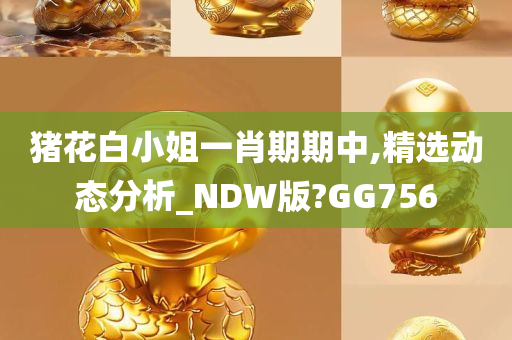 猪花白小姐一肖期期中,精选动态分析_NDW版?GG756