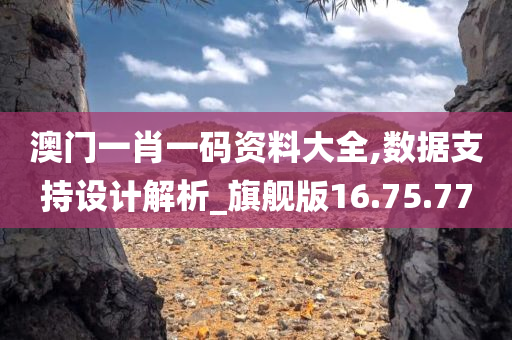 澳门一肖一码资料大全,数据支持设计解析_旗舰版16.75.77