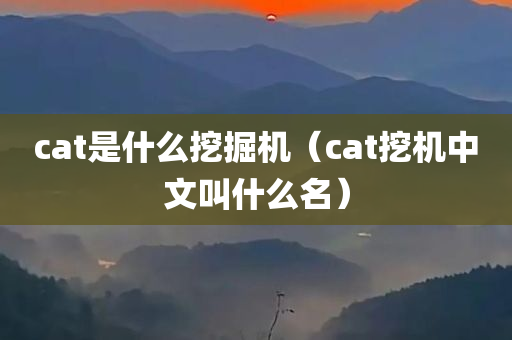 cat是什么挖掘机（cat挖机中文叫什么名）