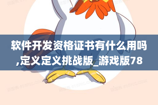 软件开发资格证书有什么用吗,定义定义挑战版_游戏版78