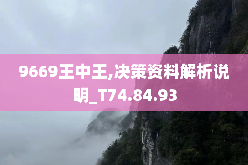 9669王中王,决策资料解析说明_T74.84.93