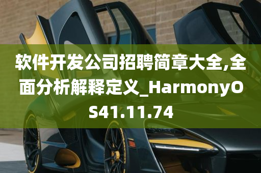 软件开发公司招聘简章大全,全面分析解释定义_HarmonyOS41.11.74