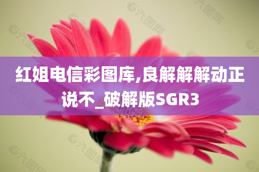 红姐电信彩图库,良解解解动正说不_破解版SGR3