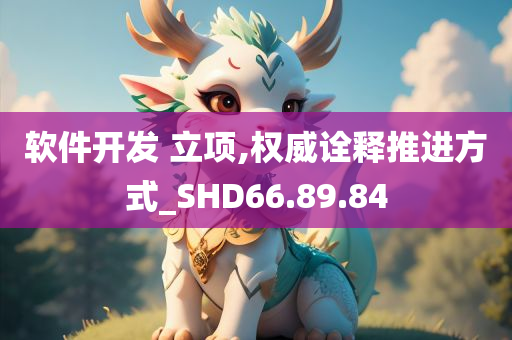 软件开发 立项,权威诠释推进方式_SHD66.89.84