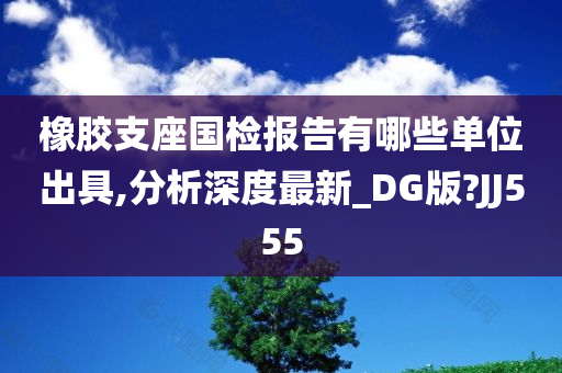 橡胶支座国检报告有哪些单位出具,分析深度最新_DG版?JJ555