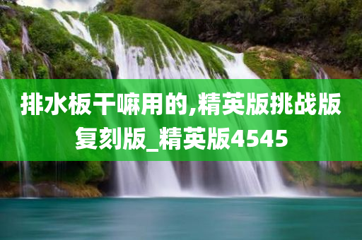 排水板干嘛用的,精英版挑战版复刻版_精英版4545