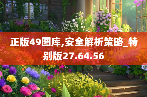 正版49图库,安全解析策略_特别版27.64.56