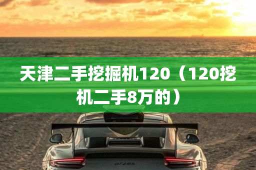 天津二手挖掘机120（120挖机二手8万的）