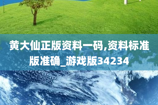 黄大仙正版资料一码,资料标准版准确_游戏版34234