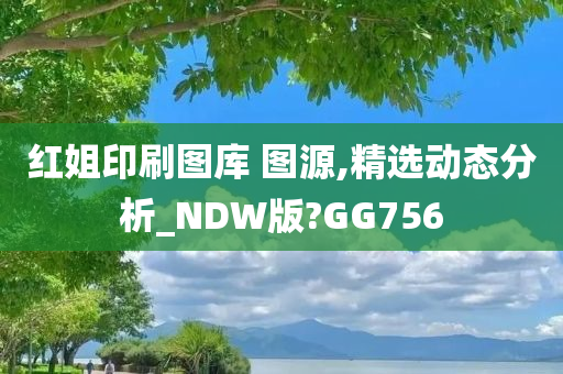 红姐印刷图库 图源,精选动态分析_NDW版?GG756