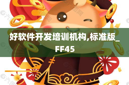 好软件开发培训机构,标准版_FF45