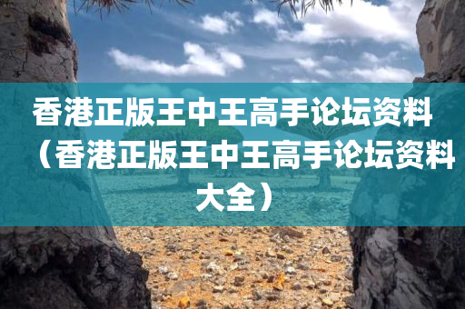 香港正版王中王高手论坛资料（香港正版王中王高手论坛资料大全）