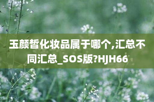 玉颜皙化妆品属于哪个,汇总不同汇总_SOS版?HJH66