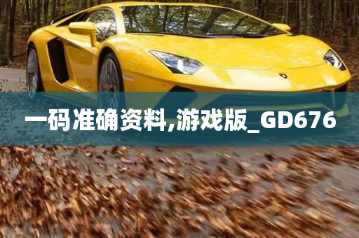 一码准确资料,游戏版_GD676