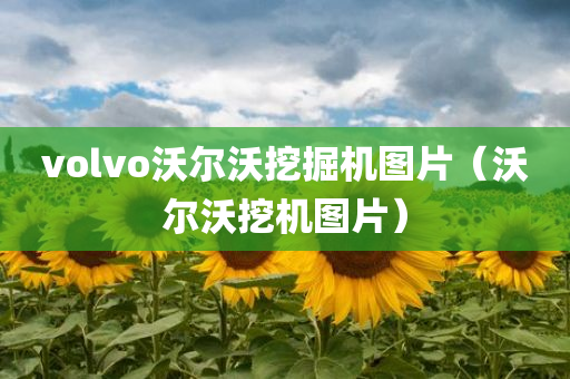 volvo沃尔沃挖掘机图片（沃尔沃挖机图片）