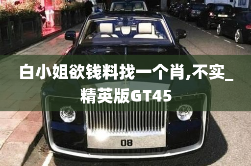 白小姐欲钱料找一个肖,不实_精英版GT45