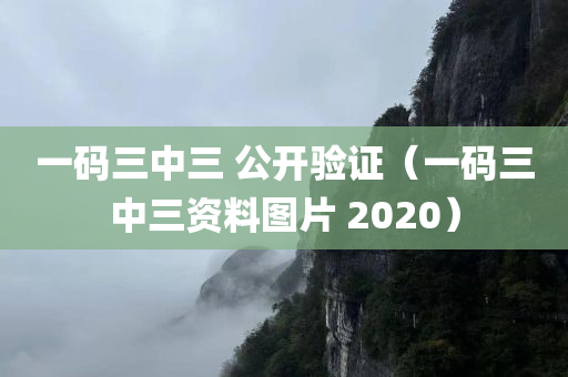 一码三中三 公开验证（一码三中三资料图片 2020）