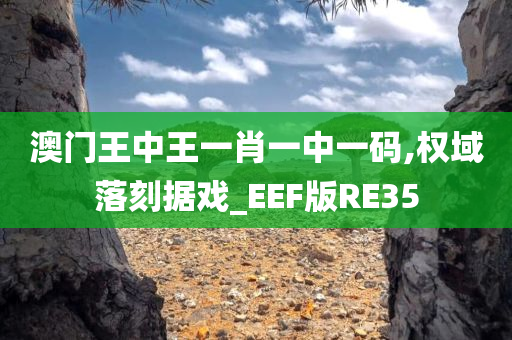 澳门王中王一肖一中一码,权域落刻据戏_EEF版RE35